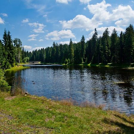 Penzion Valentino Бедржихов Екстер'єр фото